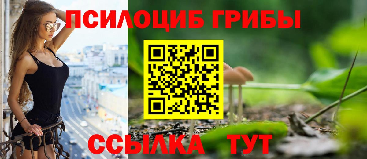 Галлюциногенные грибы прущие грибы  Галлюциногенные грибы мицелий  Вход с VPN  Ликино-Дулёво 